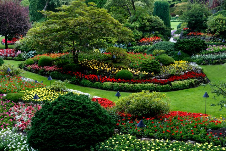 Fort Lauderdale Commercial Landscaping